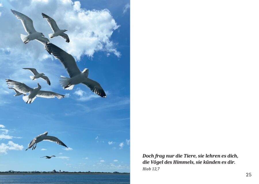 Bibelworte in der Natur – Bild 2